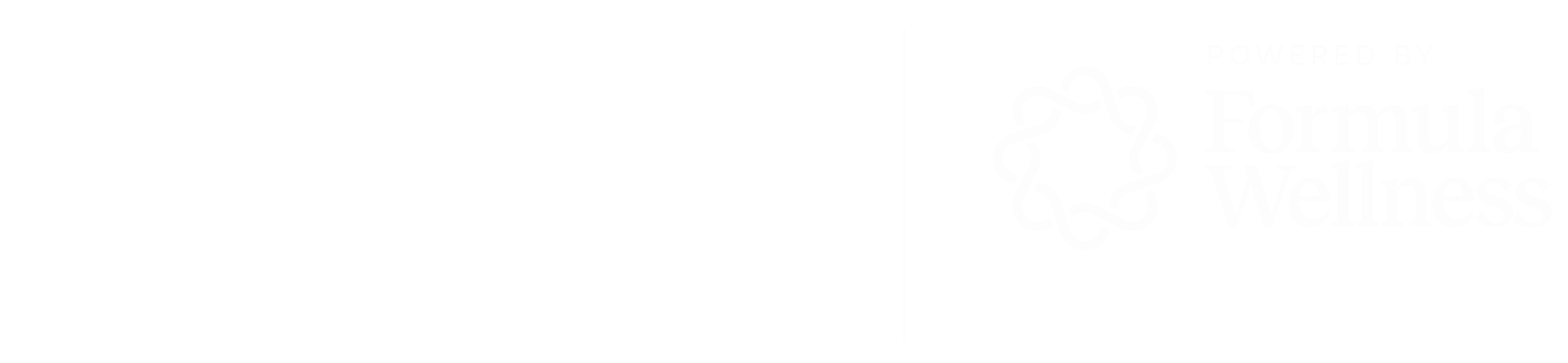 bella tampa logo